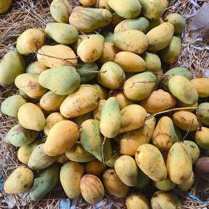 কাটিমন আম