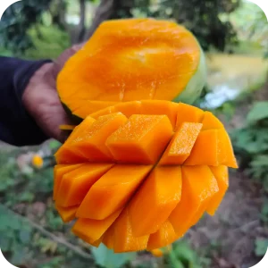 হিমসাগর/ খিরসাপাত আম